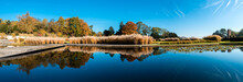 Extra Large Panoramic View Of Reflections Of Trees, Plants And Reeds With Autumn Colors In The Pond Of A City Park