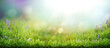 Leinwandbild Motiv A warm spring garden background of a green grass lawn and a blurred background of lush vibrant foliage and strong sunlight.