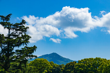 Canvas Print - 京都から見た比叡山