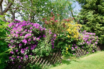 Wall Mural - Gartenansicht