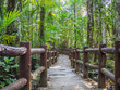 Forest footpath or walkway with fence in outdoor park for nature, environment, travel, vacation concept