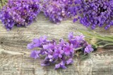 Fototapeta Lawenda - Beautiful fresh aroma Lavender flowers