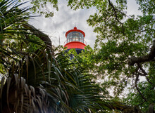 The Colorful St Augustine Lighthouse On Anastasia Island In Florida Viewed Through The Spanish Moss Covered Trees And Palms