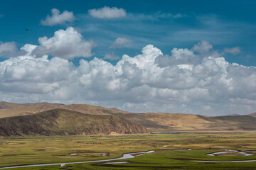 Wall Mural - grassland in sichuan china