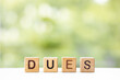 Dues - word is written on wooden cubes on a green summer background. Close-up of wooden elements.