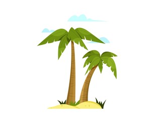 Wall Mural - Illustration of a palm tree with coconuts isolated on white background in flat style.