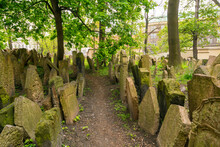 Czech Republic, Prague, Old Jewish Cemetery