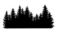 Fir Trees Silhouette. Coniferous Spruce Horizontal Background Pattern, Black Evergreen Woods Vector Illustration. Beautiful Hand Drawn Panorama With Treetops Forest