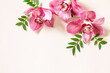 Floral background with orchids, minimal concept. Tropical pink phalaenopsis orchids on a light pastel background. Flowers arrangement. Top view, copy space.
