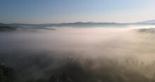 Carpathian Mountains Densely Covered With Forests. Fog