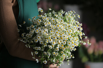 Sticker - Floral background made of top view of many white chamomile flowers