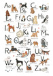 Dog alphabet vector line illustrations set
