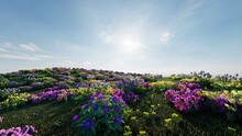 Field Of  Spring Flowers Under Bright And Sunny Sky.
3d Illustration.