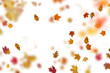 Autumn Set Photo Overlays Falling Leaves, fog, rain, sun, light, Photoshop overlay, png