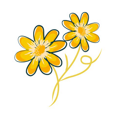 Sticker - Daffodils 