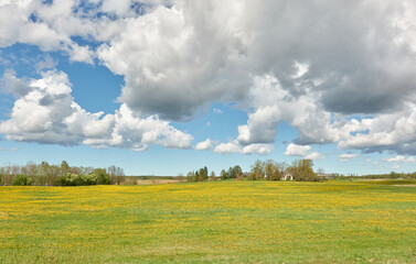 Wall Mural - Dramatic sky above the hills of a green plowed agricultural field and forest. Glowing clouds after the rain and storm. Pure sunlight. Idyllic rural scene. Spring, early summer. Nature, ecology themes