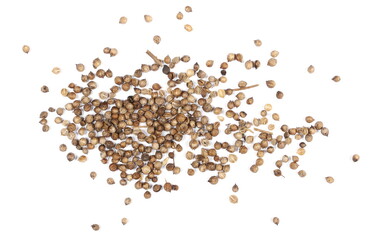 Wall Mural - Coriander seeds pile isolated on white, top view 
