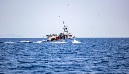 Wall Mural - Fishing boat sail in Aegean sea. Gull swarm follow for food, Cyclades Greece.