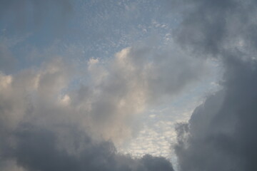 Wall Mural - Cumulus, Haufenwolken am abendlichen Himmel, reiner Wolkenhimmel