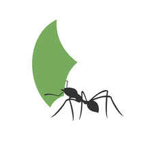 Creative Design Of Ant Working