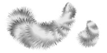 Furry Fox Striped Brushes, Black And White Downy Fur Texture. Shaggy Fuzzy Flocky Hair Tail Shapes, Bushy Pompoms, Winter Design Elements Isolated. Vector Illustration