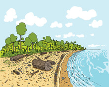 A Cartoon Landscape Of A Natural Beach With Lush Green Trees And Hills, Driftwood Logs And Sandy Pebbles.