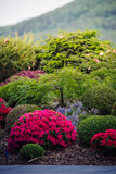 Ogród japoński 