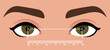 Interpupillary distance measurement template. Stylized close up of the eyes to determine the distance between the eyes. Help for the selection of the size of glasses. Vector illustration