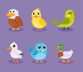 Poster - six cute birds icons