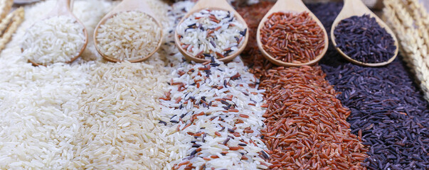 Five kinds of rice basmati, black rice, mix long grain, arborio and red rice , rice organic .