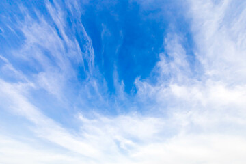 Wall Mural - a vast blue sky with freedom shape of slanting clouds floating overhead. soft and pure cloudy in sun