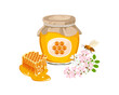 Fresh honey in glass jar, honeycombs, acacia flowers and a bee. Vector illustration of healthy sweetness in cartoon flat style.