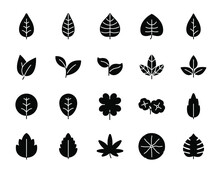 Simple Various Shape Black Leaf Glyph Icons Set.