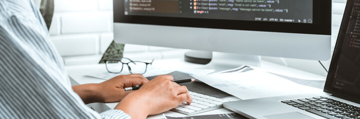 Wall Mural - developing programmer development website design and coding technologies working in software company