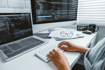 developing programmer development website design and coding technologies working in software company