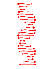 Wall Mural - Abstract structure of human DNA. Vector DNA.