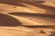 sand dunes in the desert Sahara