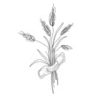 © Ilonka eva - Wheat ear spikelet sealed with patch vector illustration isolated on white background. Scratch board style imitation. Black and white hand drawn image.