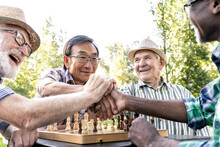 Group Of Senior Friends Playing Chess At The Park