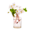 Oxalis acetosella (wood sorrel or common wood sorrel) in a glass vessel with water