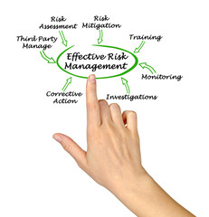 Wall Mural - Components of Effective Risk Management