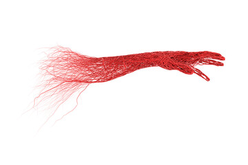 abstract 3d hands object red blood veins, arteries, aorta knit tangled on white background. medical science in lab. gene dna or vascular disease. Isolated with clipping path. 3D Illustration.