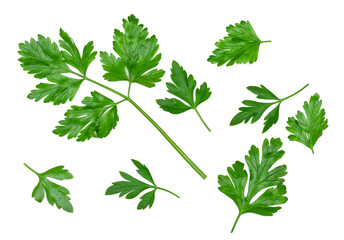 Sticker - Parsley green leaves isolated on a white background, top view