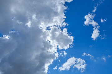 Wall Mural - Background cumulus clouds against a blue sky illuminated by sunlight.