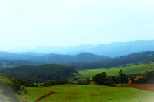 Nilgiris Means Blue Mountains. Ooty, Officially Udhagamandalam, Once Queen Of The Nilgiris. This View Is From The Wenlock Downs, 9th Mile Ooty Is A Scenic Tourist Spot.