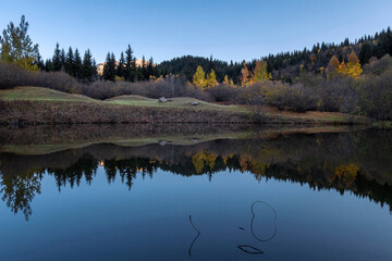 autumn yellow leaf trees and reflection in lake