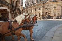 Horses Carriage In Dresden