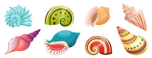 Seashells From Tropical Beach Or Underwater Set Vector Illustration. Cartoon Colorful Aquatic Shells With Spiral Conch, Collection Of Mollusks Isolated White. Crustacean, Nature, Summer Concept
