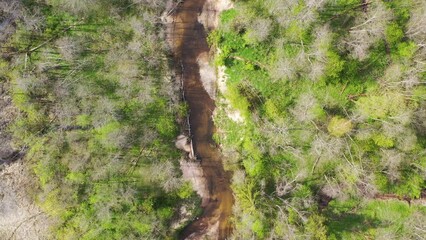 Wall Mural - Aerial top down view flying along small, winding river flowing through green forest
