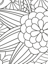 Outline Vector Drawing Of Flowers For Adult Coloring Books. Page Of Floral Pattern In Black And White